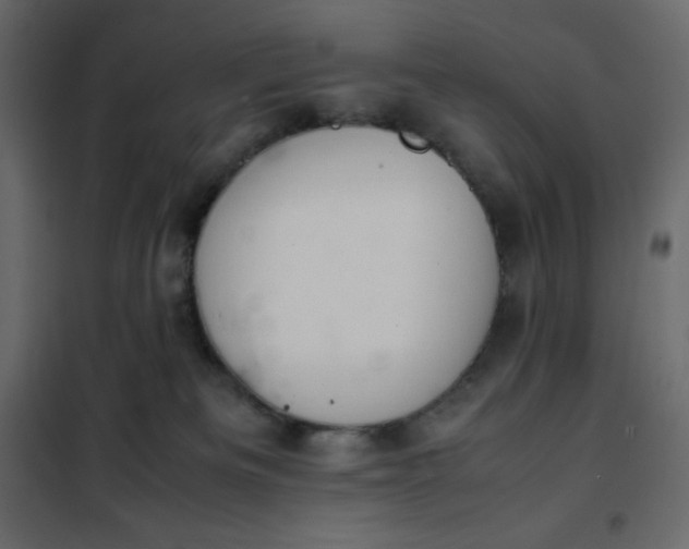 X0000102260133200808081410