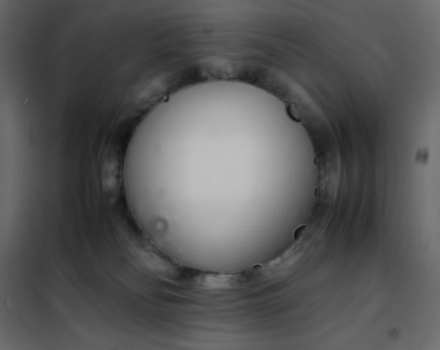 X0000102260134200808081410