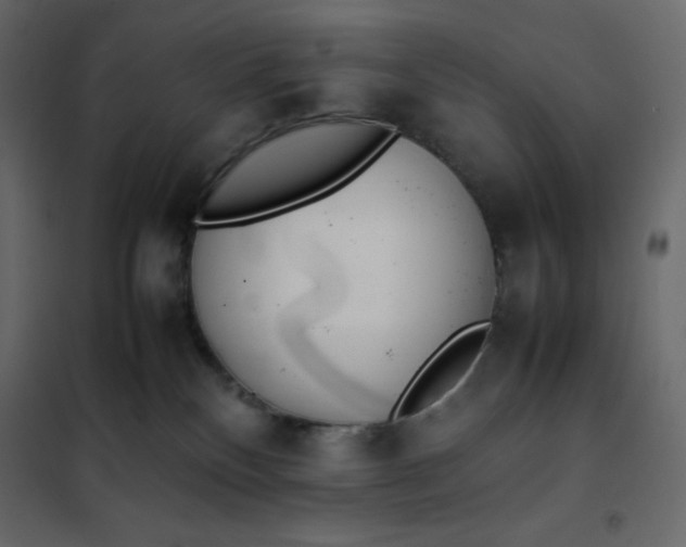 X0000102260136200808081410