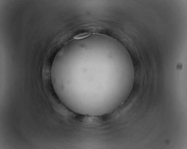 X0000102260137200808081410