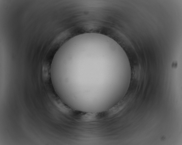 X0000102260138200808081410