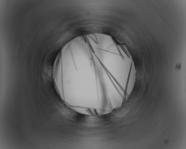 X0000102260141200808081410