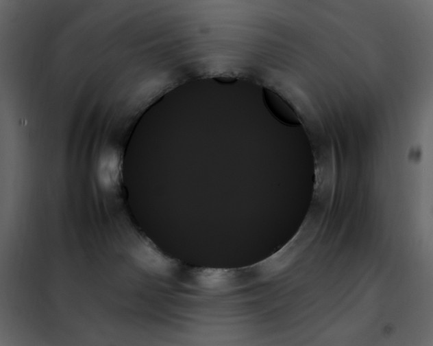 X0000102260142200808081410