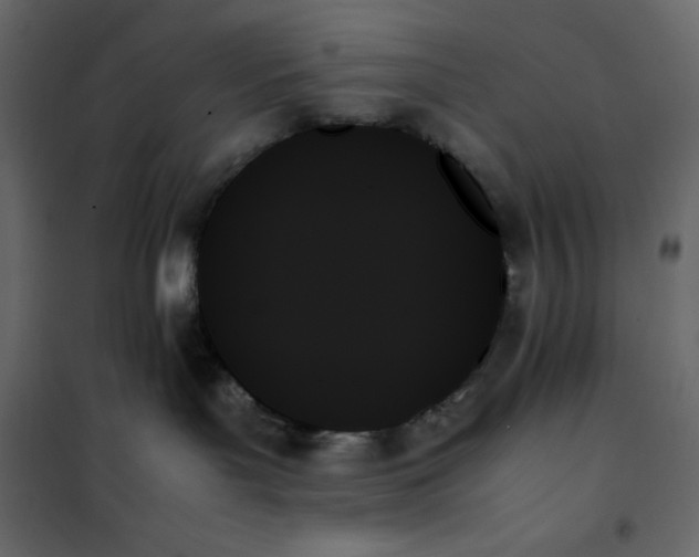 X0000102260143200808081410