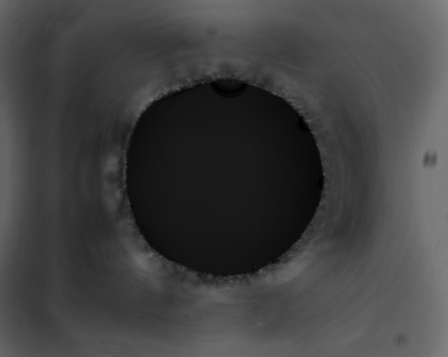 X0000102260144200808081410