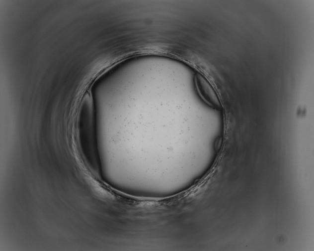 X0000102260145200808081410