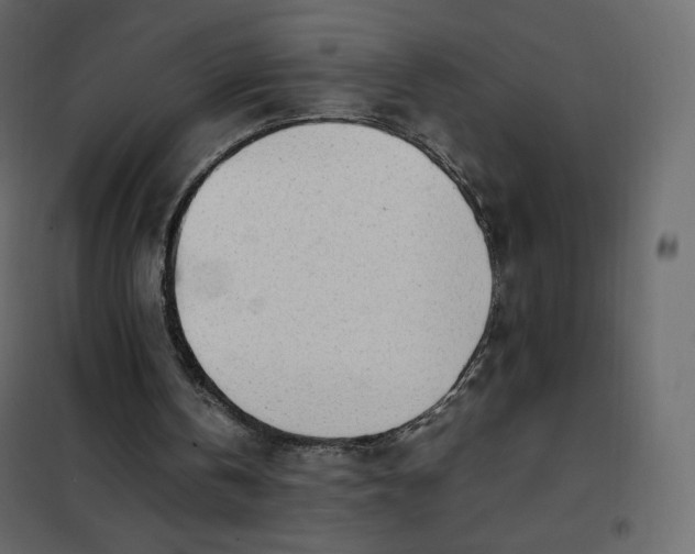 X0000102260146200808081410