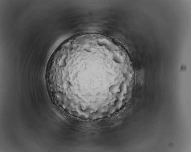 X0000102260147200808081410