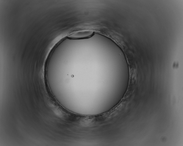 X0000102260148200808081410