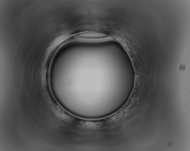 X0000102260149200808081410