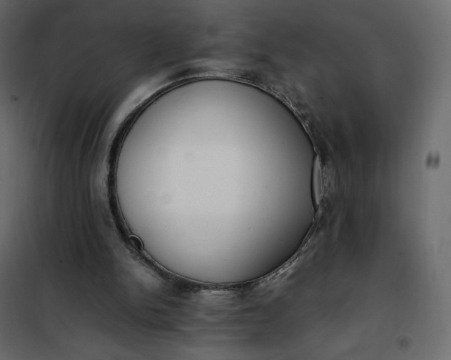 X0000102260150200808081410