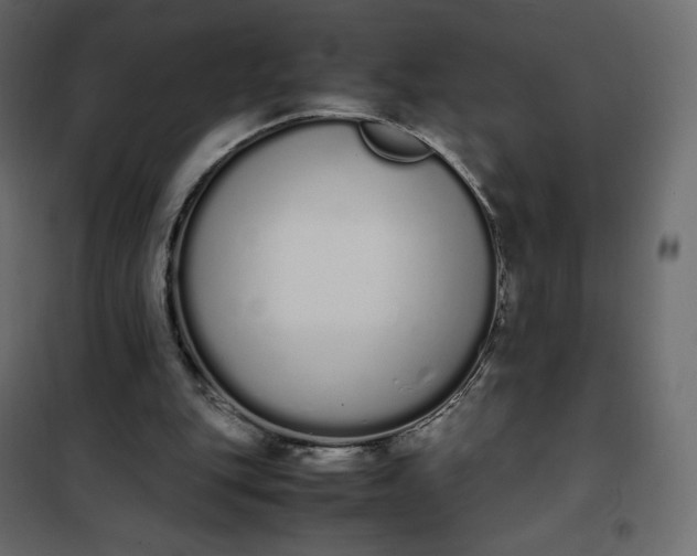 X0000102260151200808081410