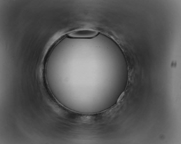 X0000102260152200808081410