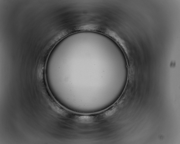 X0000102260153200808081410