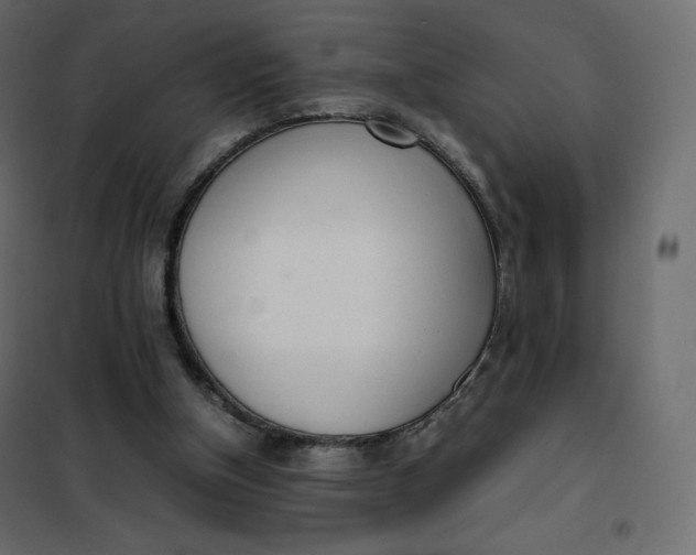 X0000102260154200808081410