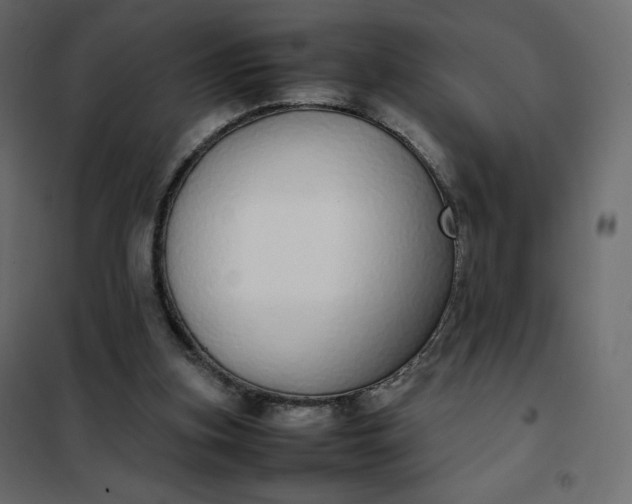 X0000102260155200808081410