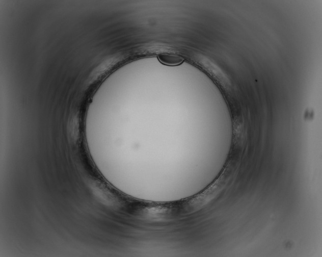 X0000102260158200808081410