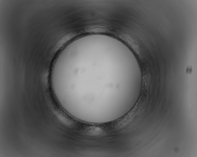 X0000102260159200808081410