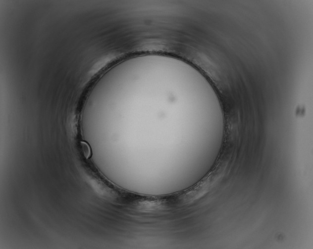 X0000102260160200808081410