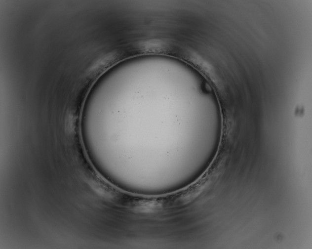 X0000102260161200808081410