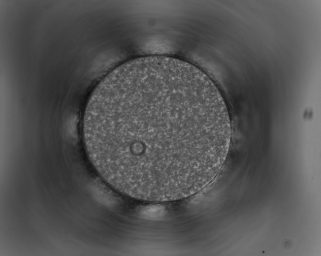 X0000102260162200808081410