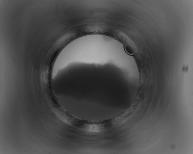 X0000102260163200808081410