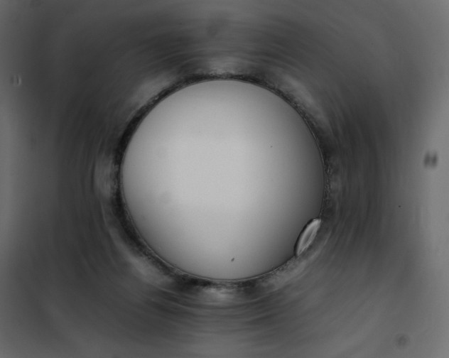 X0000102260164200808081410