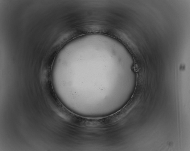 X0000102260165200808081410