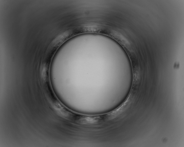 X0000102260166200808081410