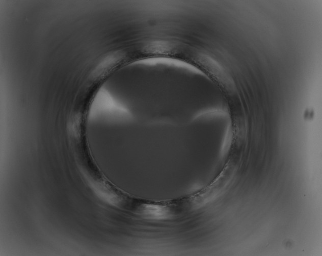 X0000102260167200808081410