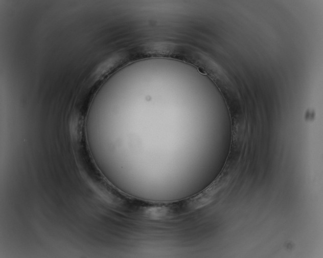 X0000102260168200808081410