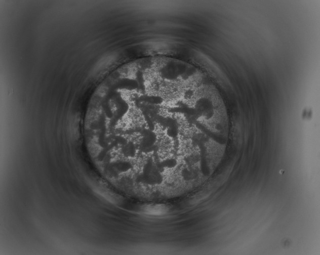 X0000102260169200808081410