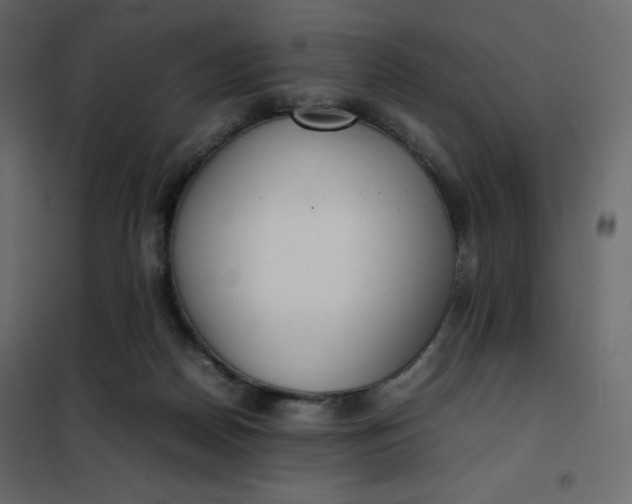 X0000102260170200808081410