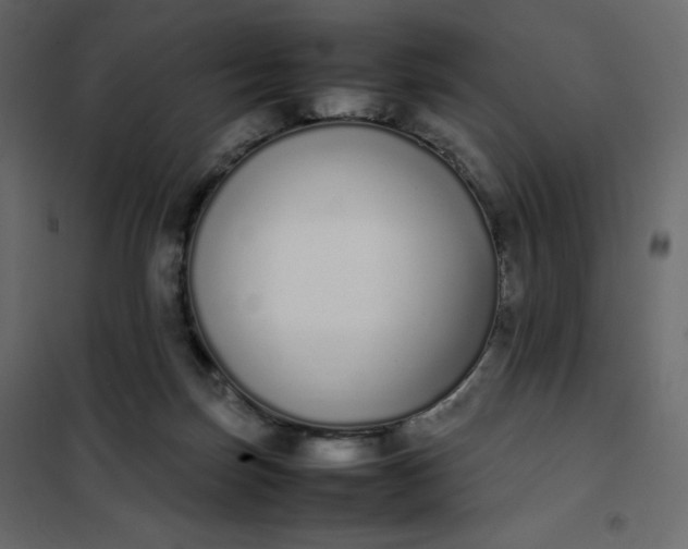 X0000102260171200808081410