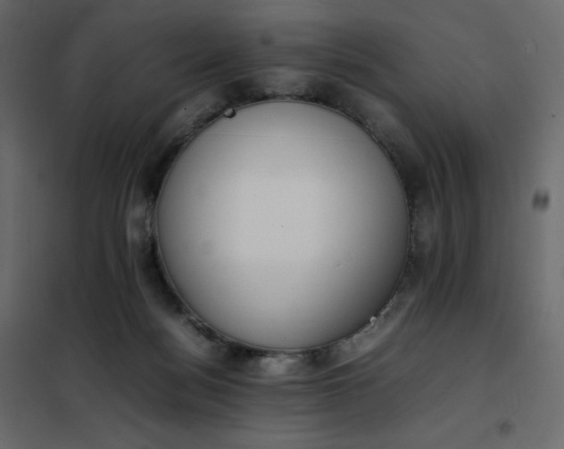 X0000102260172200808081410