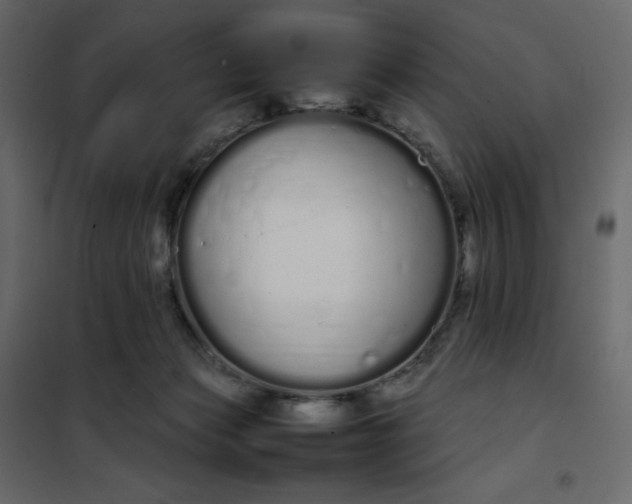 X0000102260173200808081410