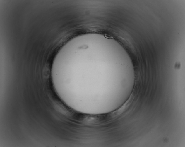 X0000102260174200808081410