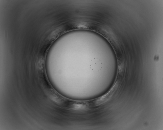 X0000102260175200808081410