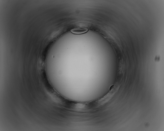 X0000102260176200808081410