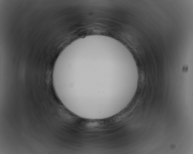 X0000102260177200808081410