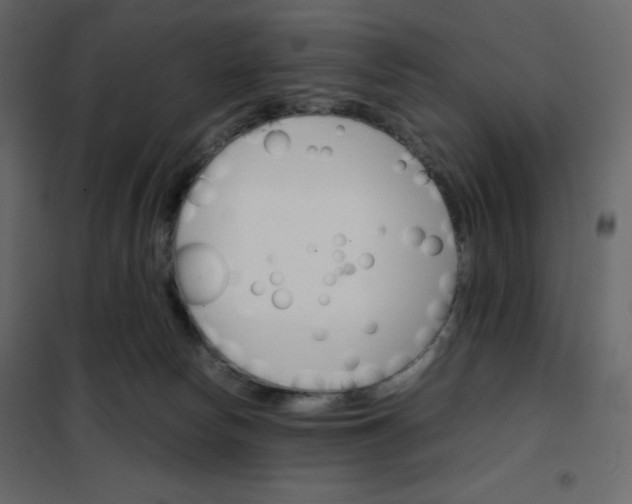 X0000102260178200808081410