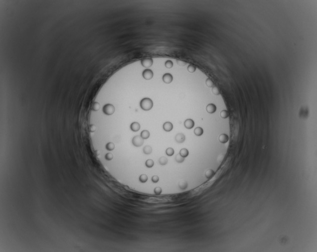 X0000102260179200808081410