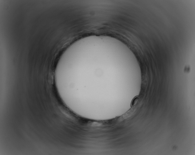 X0000102260180200808081410