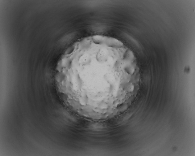 X0000102260181200808081410