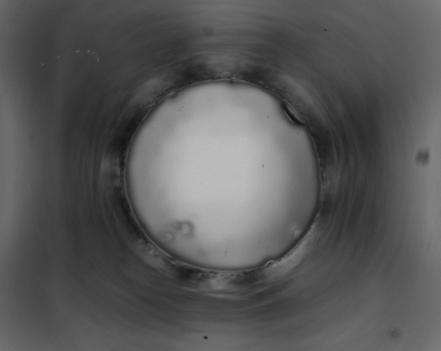 X0000102260182200808081410