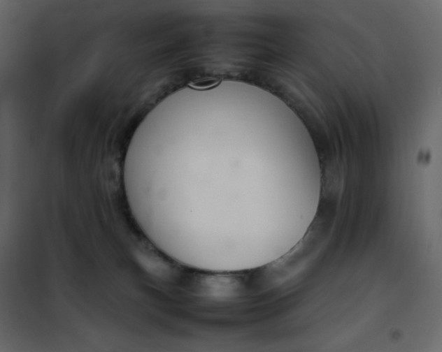 X0000102260183200808081410