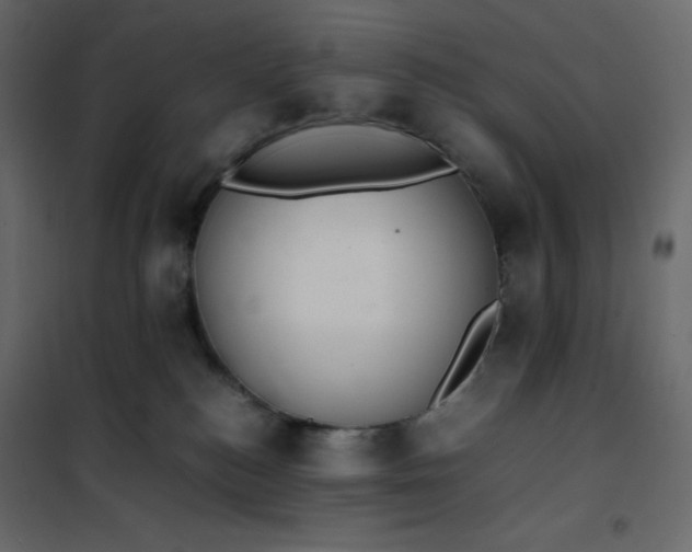 X0000102260184200808081410