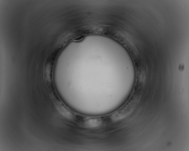 X0000102260185200808081410