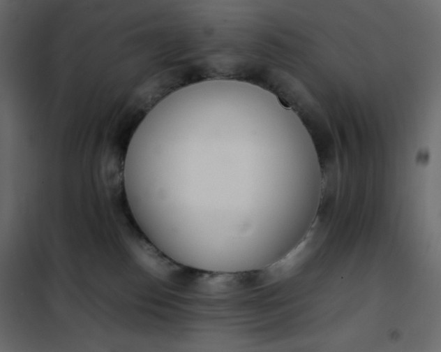 X0000102260186200808081410