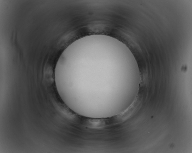 X0000102260187200808081410